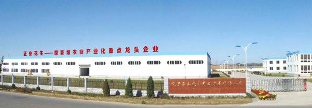 遼寧正業花生產業：共抗疫情，龍頭企業顯擔當！(圖1)