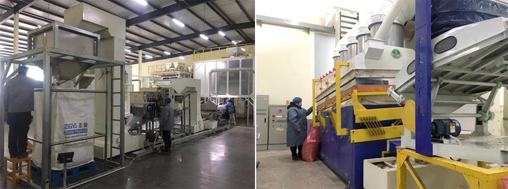 遼寧正業花生產業：共抗疫情，龍頭企業顯擔當！(圖5)