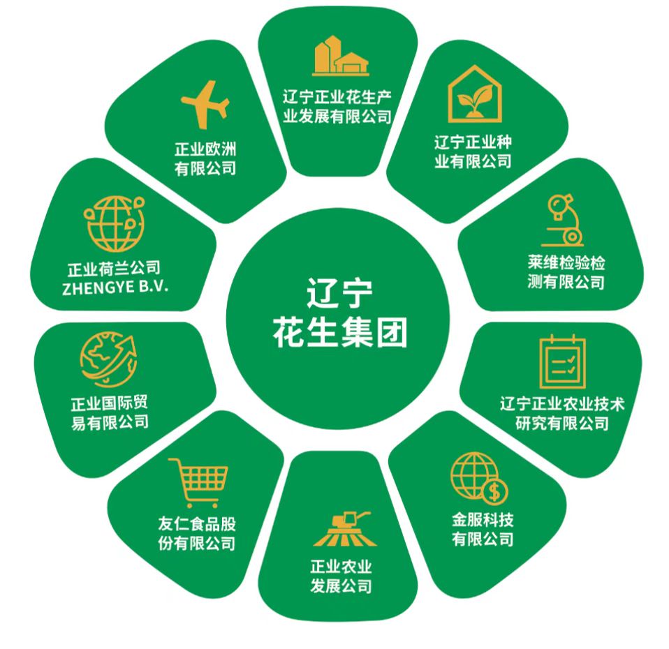 遼寧花生集團(tuán)(圖2) 遼寧花生集團(tuán)(圖2)